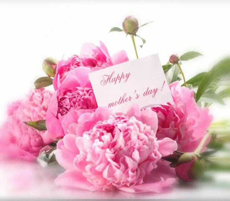 Пионы фото с днем рождения Pin by Veronica tsang on Cards Happy day, Cards, Happy