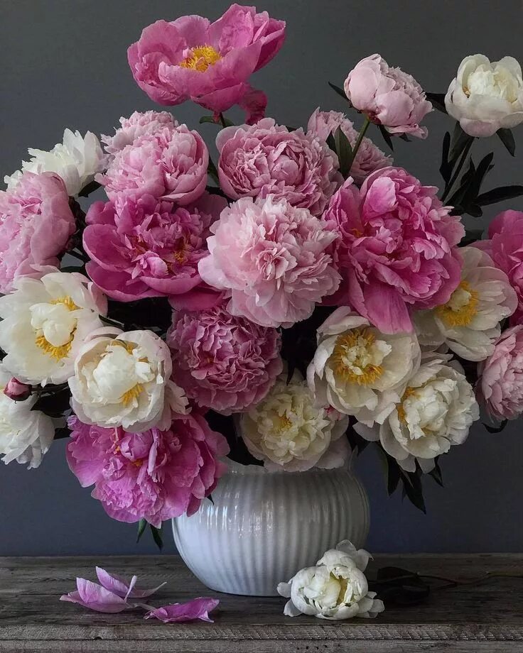 Пионы фото цветов natalca Beautiful flower arrangements, Flowers photography, Pretty flowers