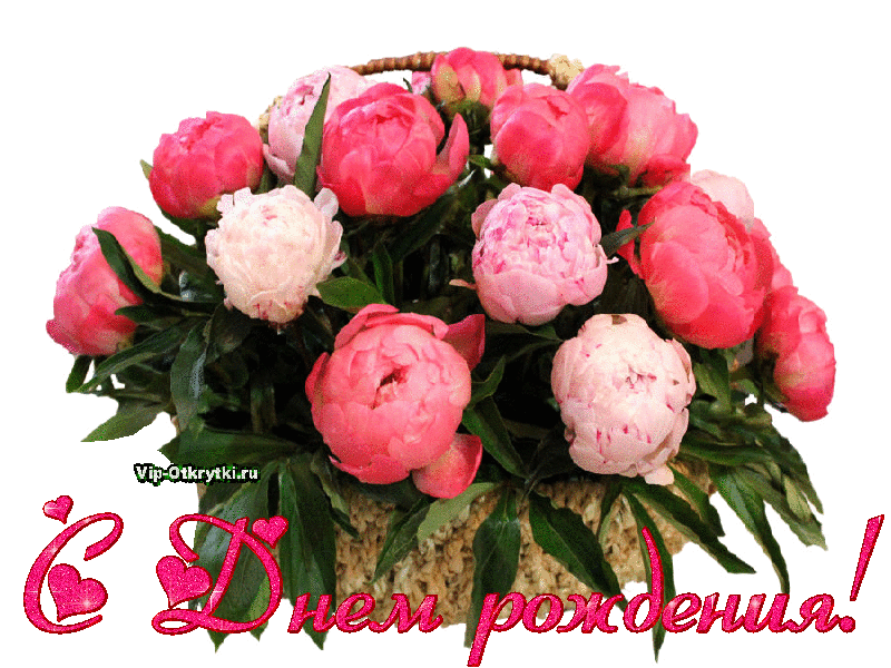 Пионы фото цветов с днем рождения На День рождения День рождения, Рождение, С днем рождения