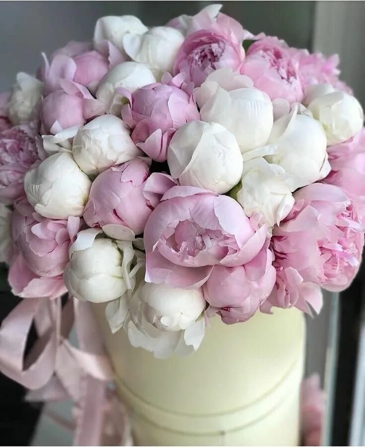 Пионы фото цветов с днем рождения Pin on Garden & Flowers Birthday flowers, Happy birthday flower, Flowers bouquet