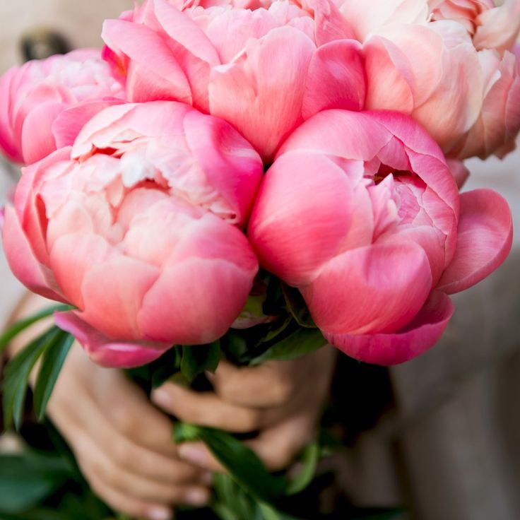 Пионы фото женщин 35 Mini Resolutions You Should Try in 2017 Showy flowers, Growing peonies, Amazi