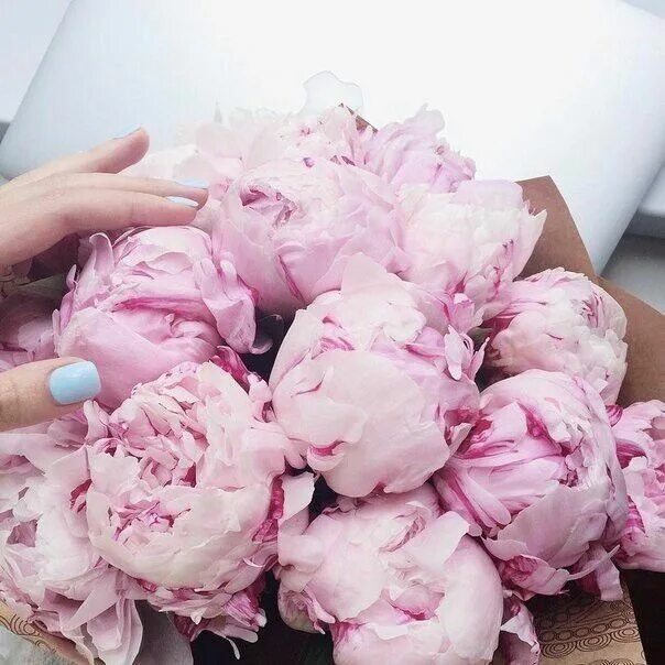 Пионы фото женщин Изображение от пользователя Darya Grinovskaya на доске "Flowers" Цветочные обои,