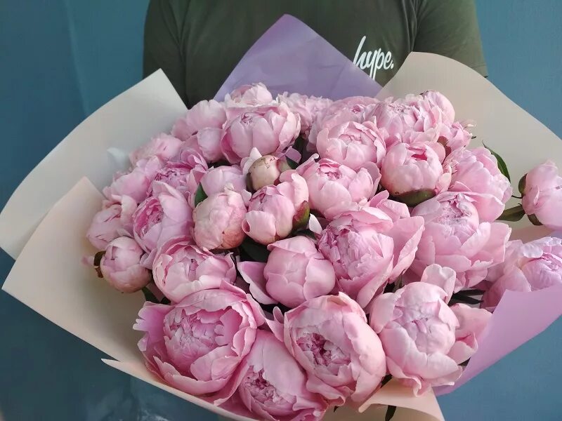 Пионы где купить и фото Букет из 15 нежно-розовых пионов купить в СПБ с доставкой - mart812.ru
