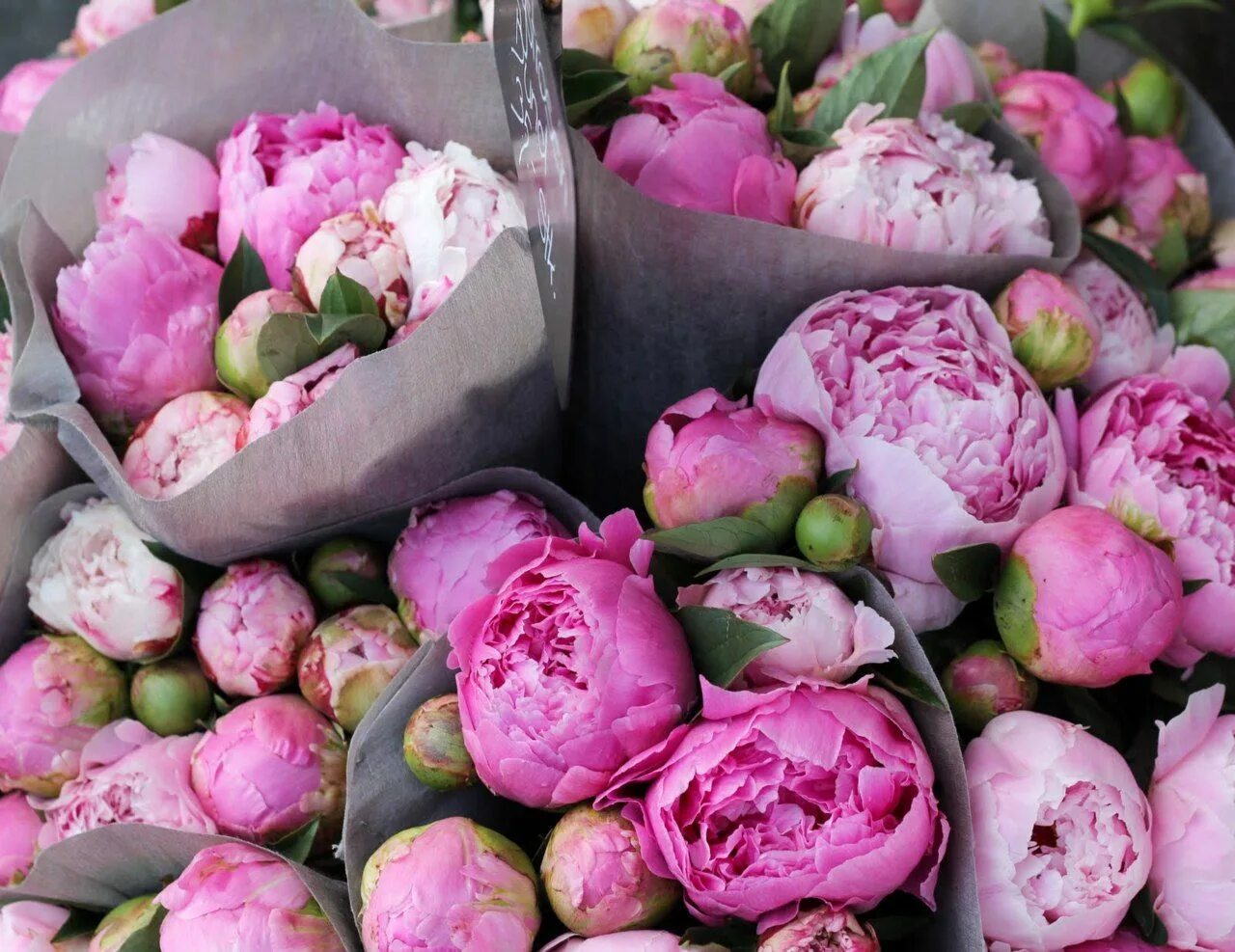 Пионы где купить и фото peonies!!!!! Peonies, Beautiful flowers, Fake flowers