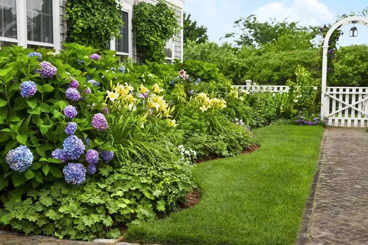 Пионы и гортензии совместимость на клумбе фото A Nantucket Cottage Garden Finds its Sweet Spot Cottage garden, Garden netting, 