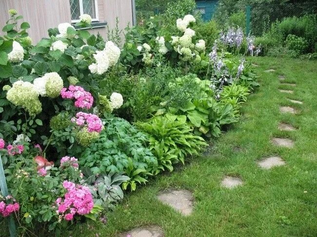 Пионы и гортензии совместимость на клумбе фото Pin on 1.GIARDINO ombra Garden, Plants, Yard landscaping