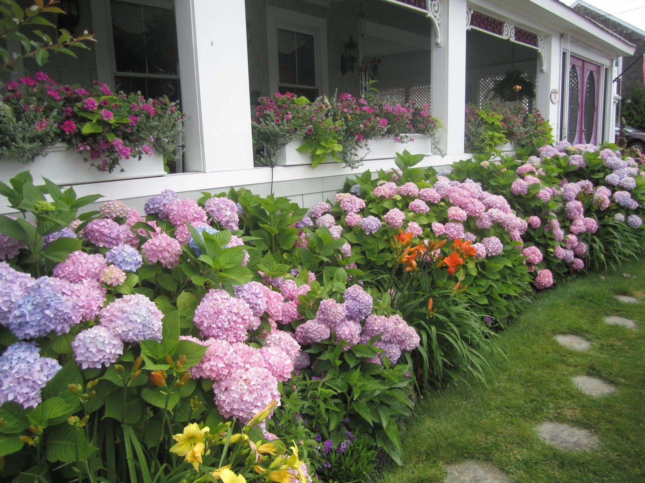 Пионы и гортензии совместимость на клумбе фото Exhilarating Garden Walks