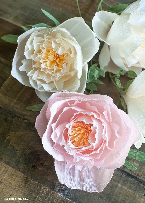 Пионы из бумаги своими руками фото DIY Crepe Paper Peonies Paper flowers, Paper peonies, Colour paper flowers