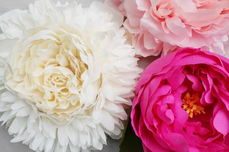 Пионы из бумаги своими руками фото tiffanie turner/corner blog peony pinatas Giant paper flowers, Paper peonies, Ti