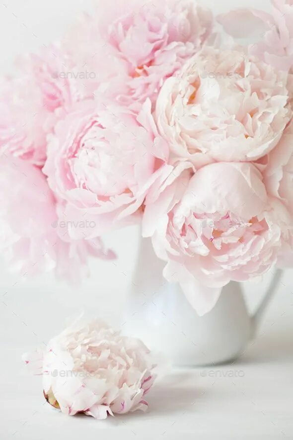 Пионы нежно розовые фото beautiful pink peony flowers bouquet in vase Flower bouquet vase, Pink peonies, 