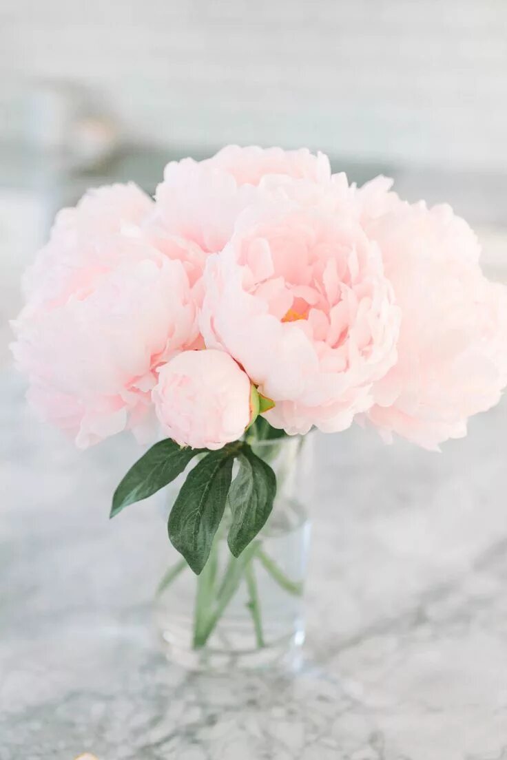 Пионы нежно розовые фото Style Me Pretty Flower arrangements, Flower arrangements simple, Pretty flowers