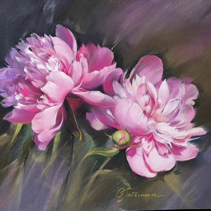 Пионы пастелью фото Пионы. Сухая пастель. Flower painting, Peony art, Floral painting