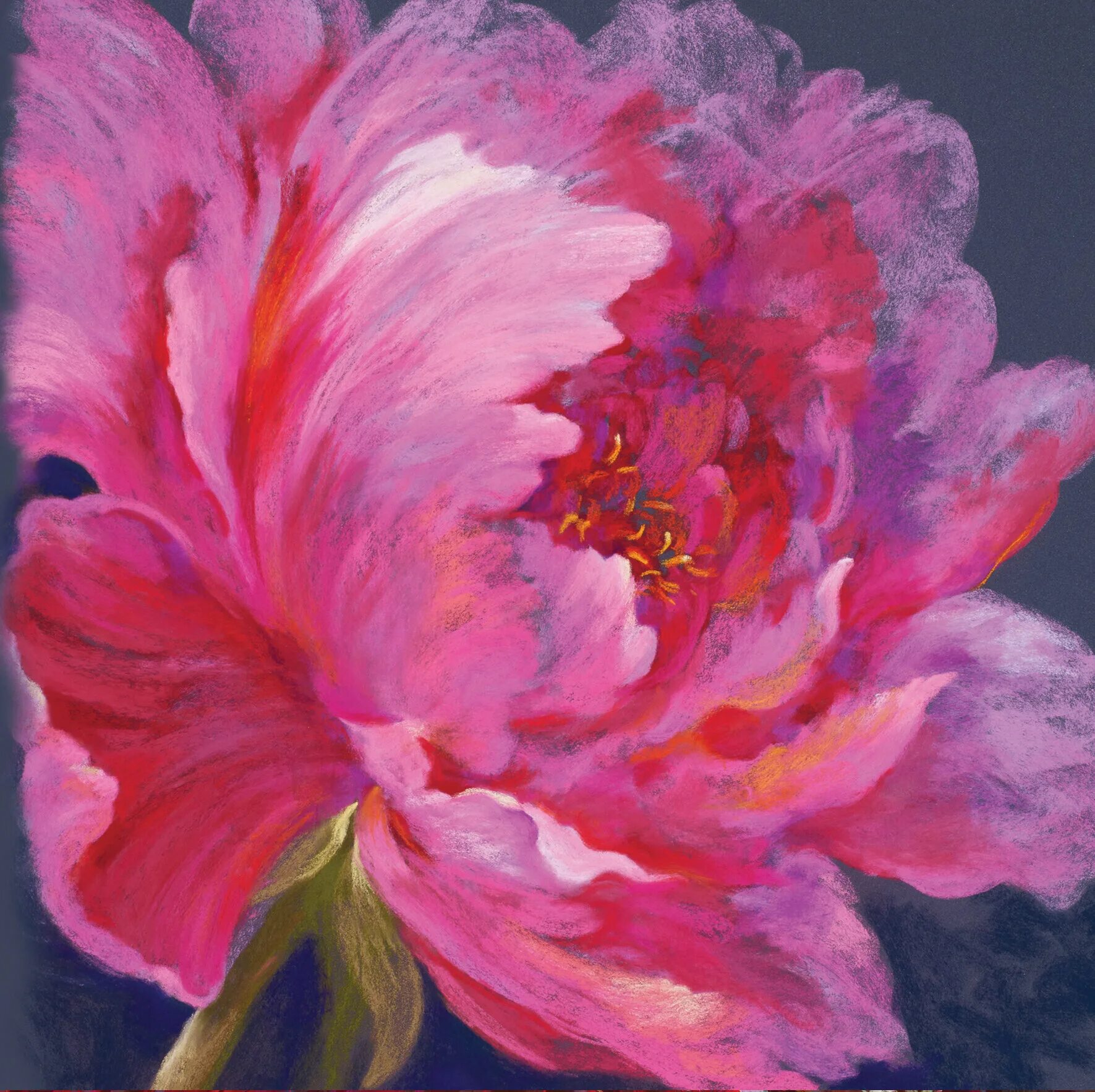 Пионы пастелью фото Nel Whatmore-Nel's NEW Card Range 'Art for Living