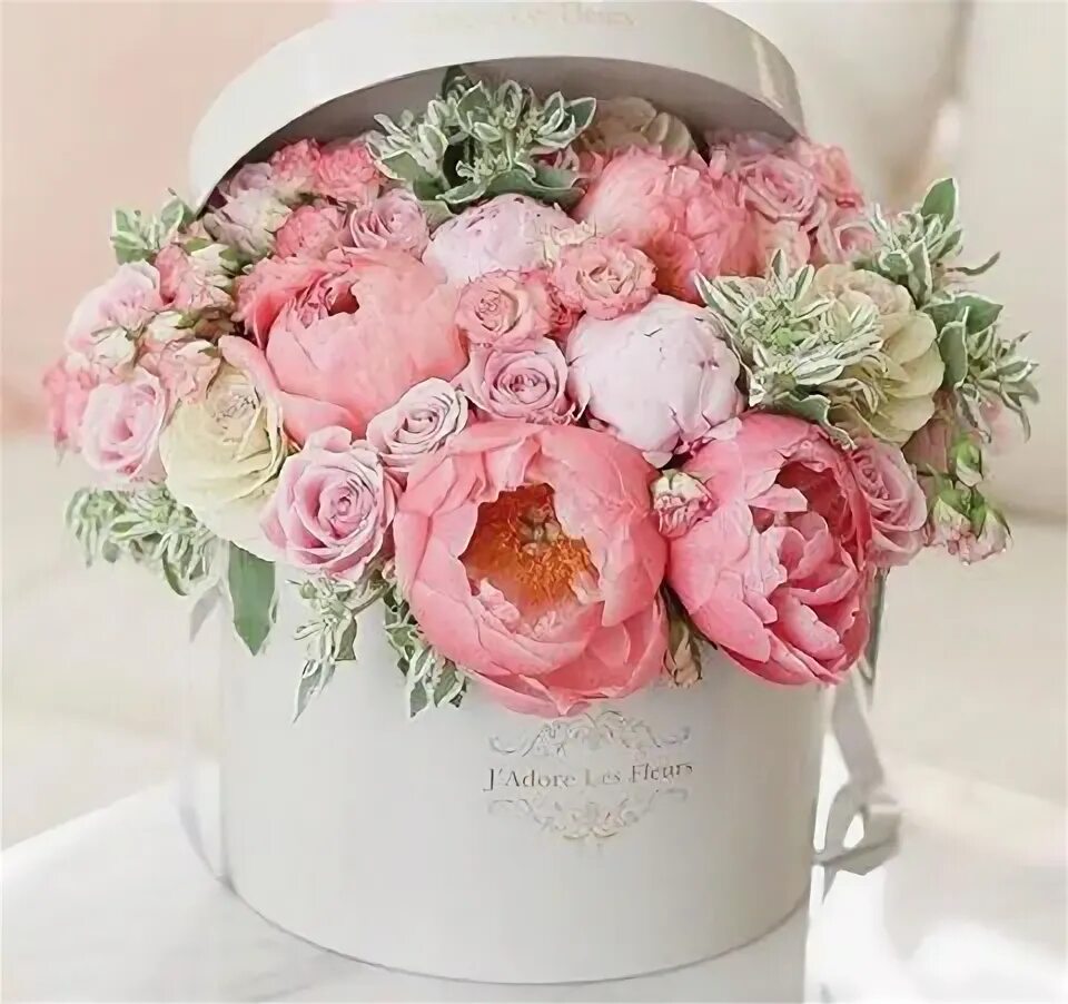 Пионы поздравление с днем рождения фото flowers Flower arrangements, Beautiful flowers, Flower boxes