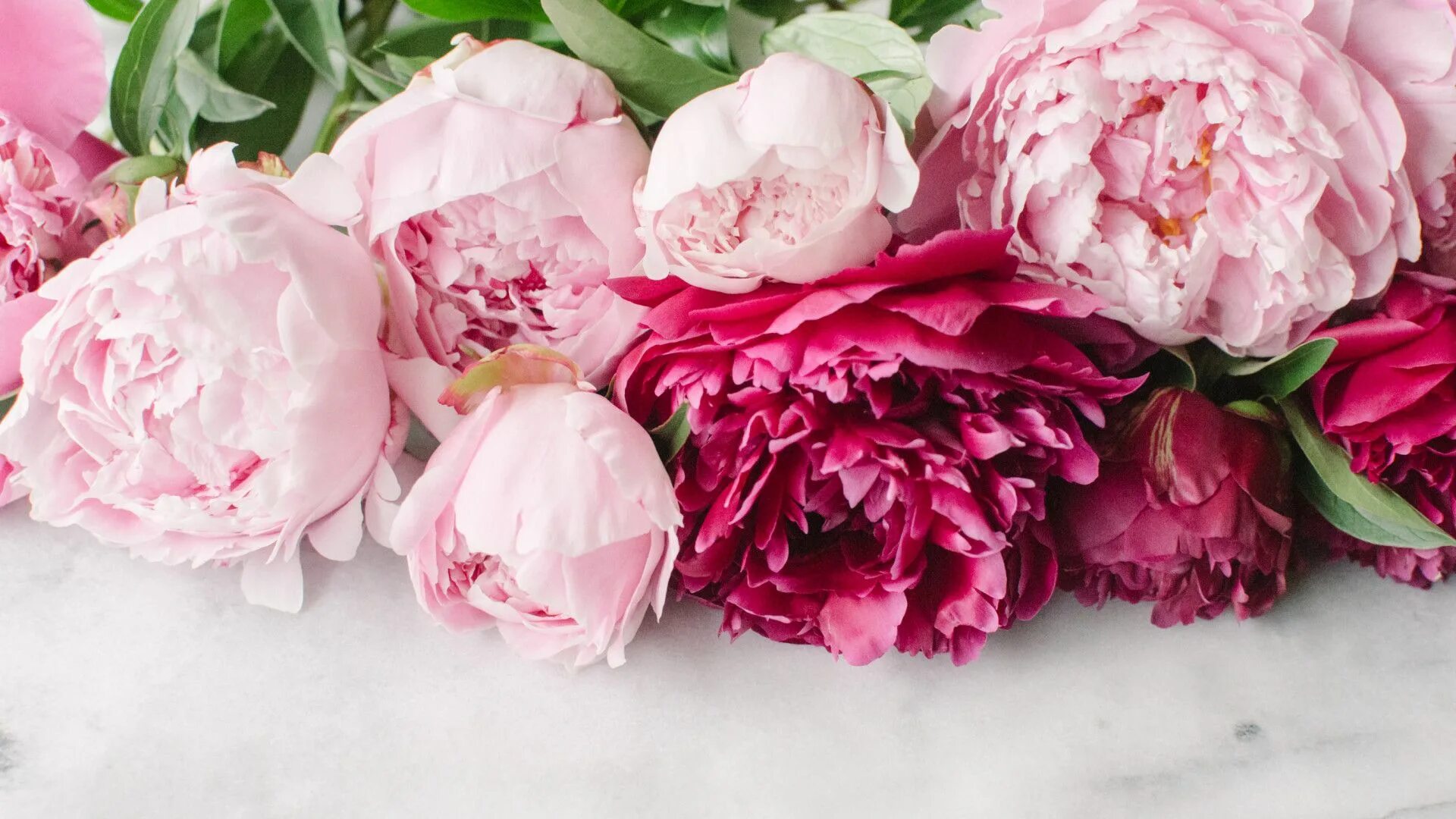 Пионы розовые фото цветов DIY: Peony Floral Bouquet Pink peonies wallpaper, Facebook cover photos flowers,