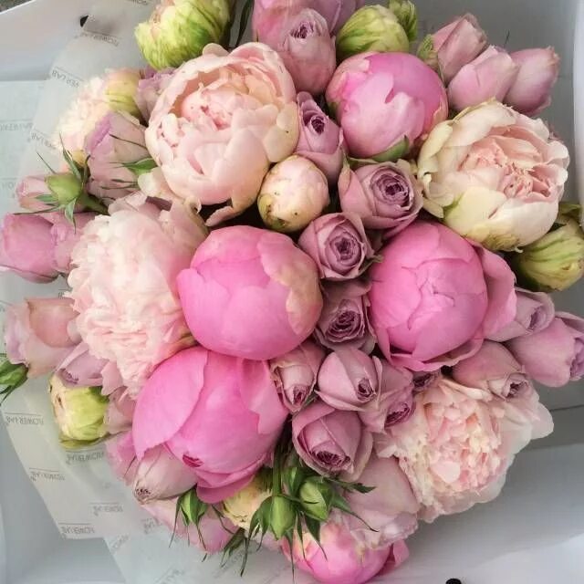 Пионы розы фото букет Картинки по запросу пионовидные розы и пионы Flores