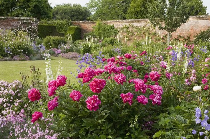 Пионы с чем посадить на клумбе фото 9 Lovely Ways to Make a Cottage-Style Garden Cottage garden, Charming garden, Lu