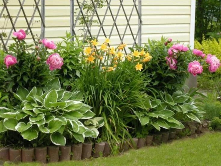 Пионы с чем посадить рядом фото nice 49 Outdoor Garden Decor Landscaping Flower Beds Ideas https://matchness.com