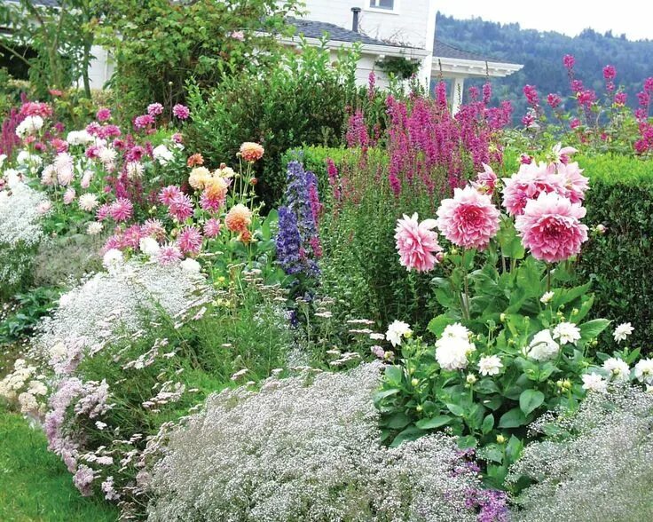 Пионы с другими цветами фото Pin by Ирина Николаевна on Растения Rose garden landscape, Garden inspiration, D