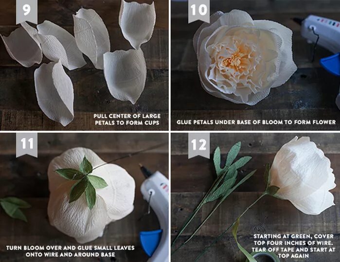 Пионы своими руками пошаговое фото Piones de papel crepé. Plantillas y maestro de clase (3) (700x539, 612Kb) Paper 