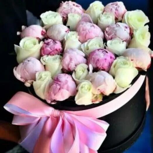 Пионы в коробке фото Коробка с лентами, пионы и белые розы R797, Flowers and presents Moscow, buy at 
