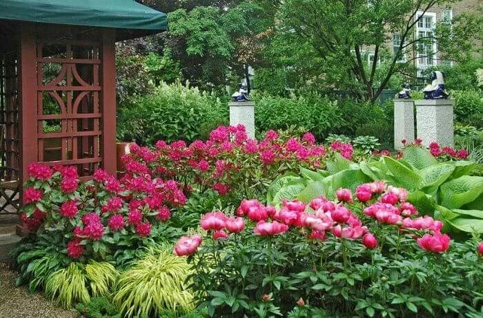Пионы в ландшафтном дизайне дачного Pin by Aušra K. on Bijūnai Garden landscape design, Tea garden, Garden landscapi