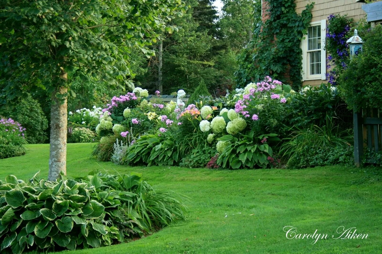 Пионы в ландшафтном дизайне дачного участка Pin on сад Hydrangea garden, Hydrangea landscaping, Garden shrubs