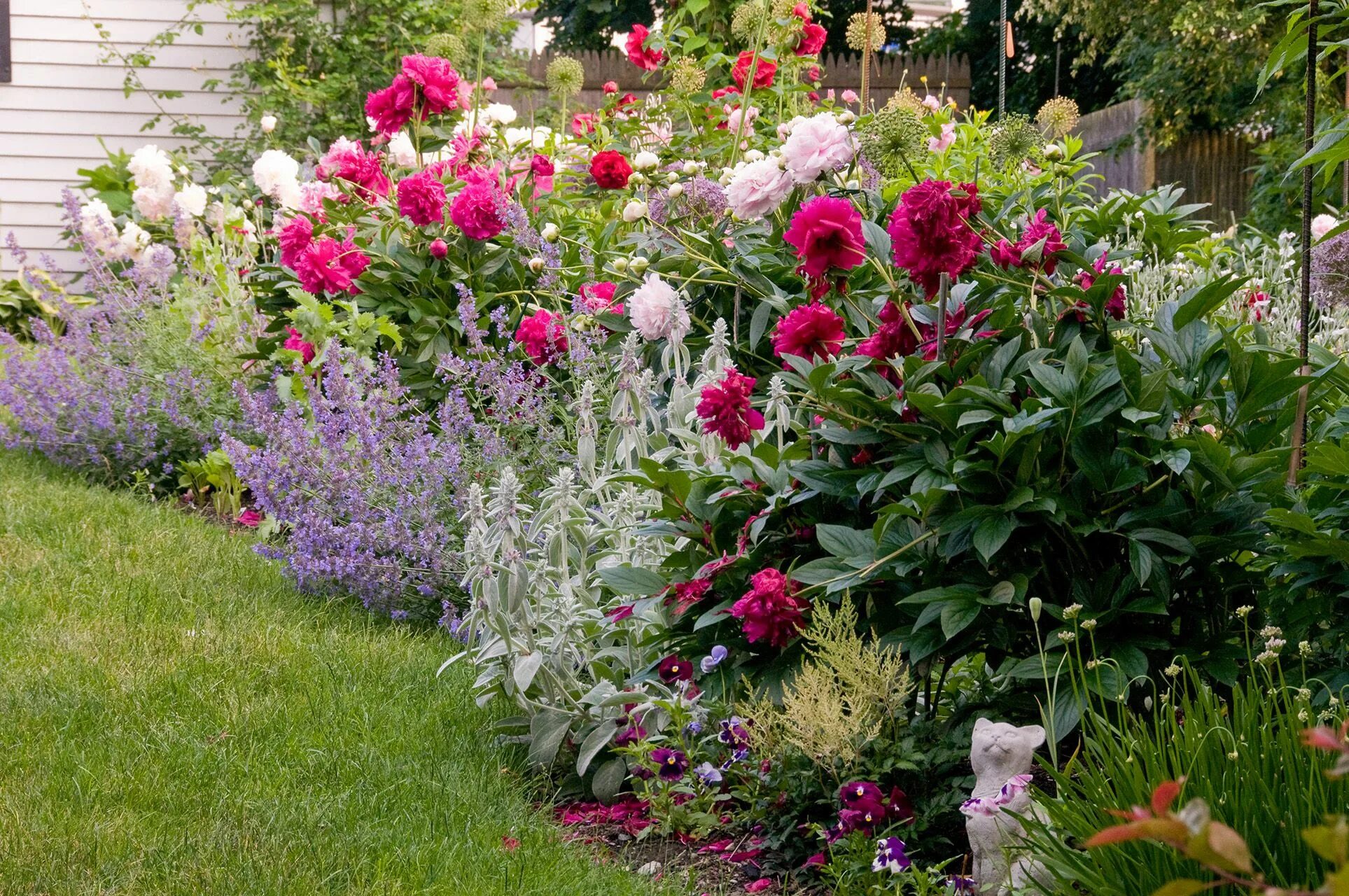 Пионы в ландшафтном дизайне дачного участка фото How to Plant Flowers for a Garden Full of Color