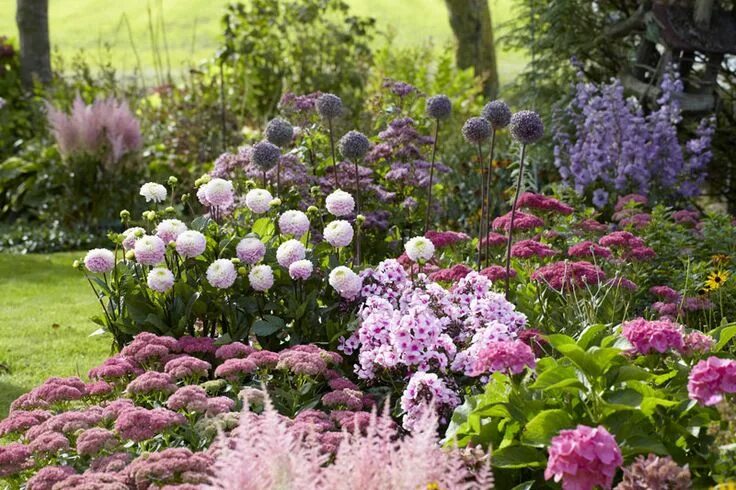 Пионы в ландшафтном дизайне фото композиции The Basics of Border Design Hydrangea garden, Cottage garden, Garden borders