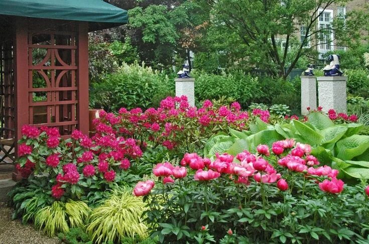 Пионы в саду фото оформление участка Похожее изображение Типы садов, Декоративная трава, Идеи посадки растений
