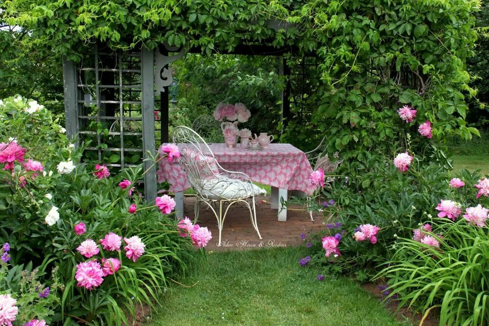 Пионы в саду фото оформление участка Российский Сервис Онлайн-Дневников Cottage garden, Garden design, Romantic garde