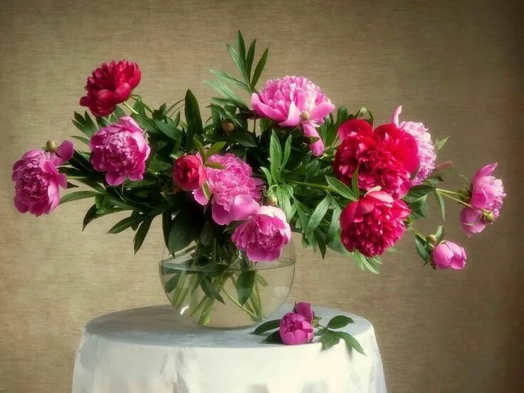 Пионы в вазе фото Pin de Сойка em пионы Arranjos de flores, Natureza morta, Pássaros