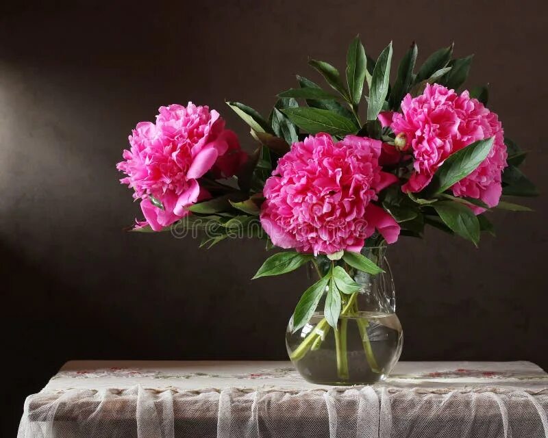 Пионы в вазе фото Peonies. a Bouquet of Flowers in a Vase. Stock Photo - Image of petal, pink: 957