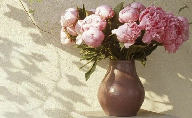 Пионы в вазе фото Пин от пользователя anastasia litvinova на доске Peonies Пионы, Цветы, Ваза