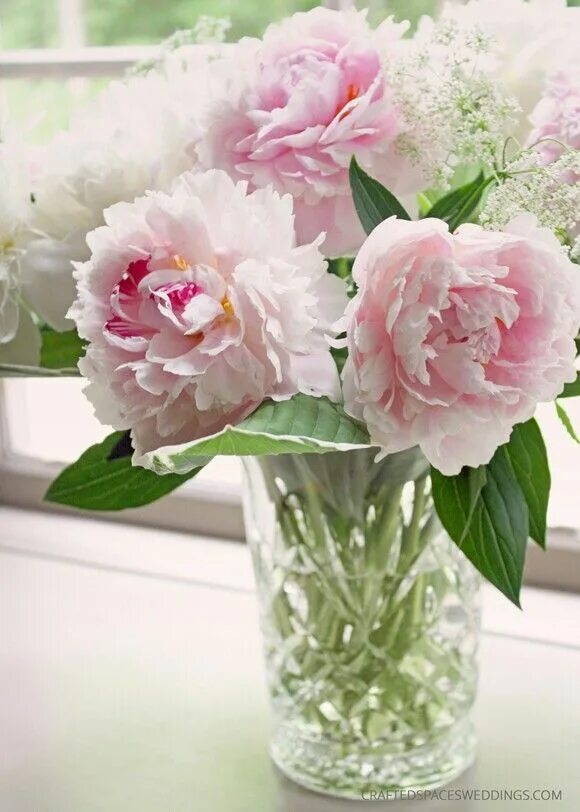 Пионы в вазе фото Pin on Decor Detail Peony wedding arrangements, Peony arrangement, Flower arrang