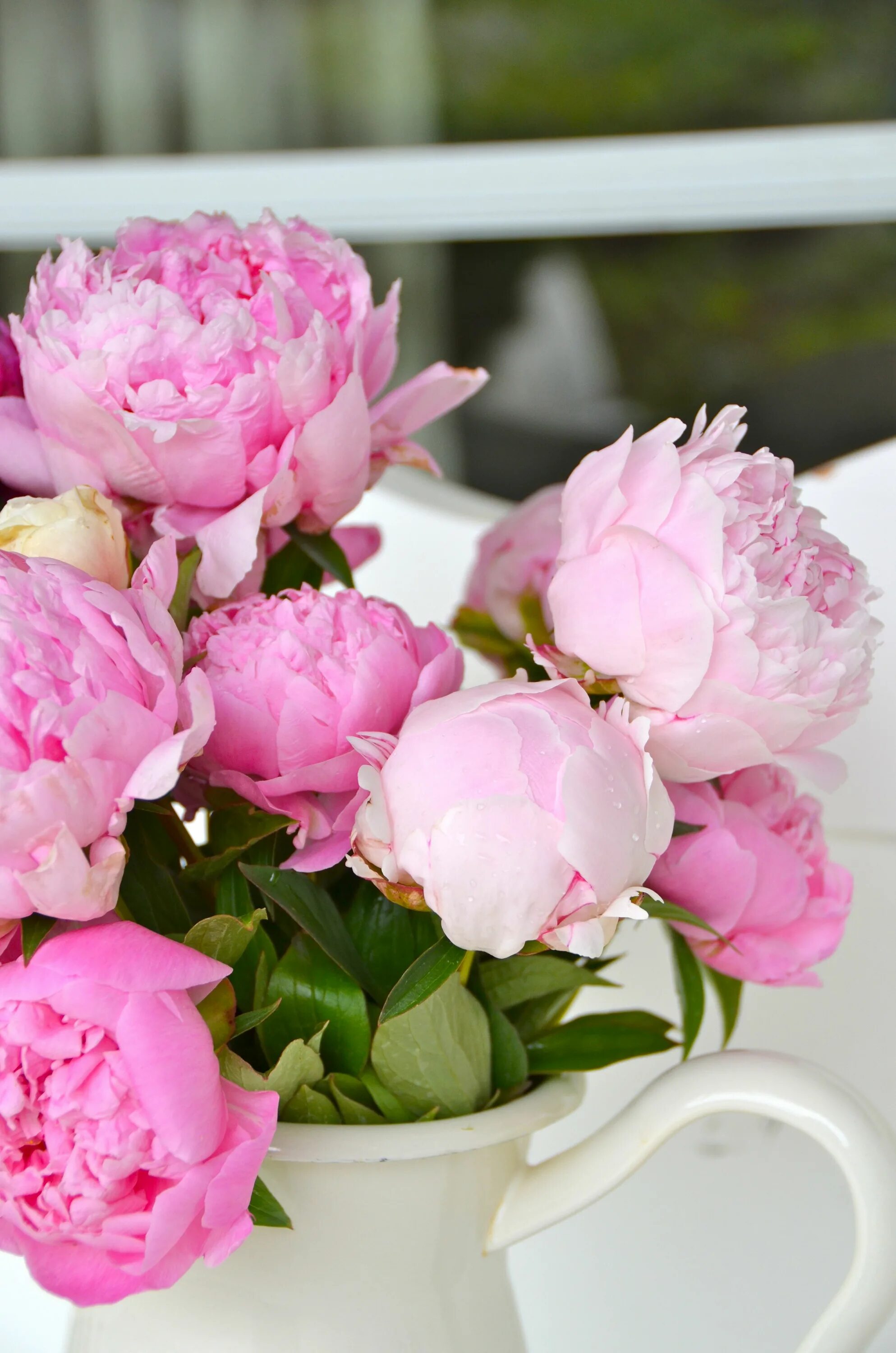 Пионы закрытые фото peonies Beautiful flower arrangements, Pretty flowers, Flower arrangements