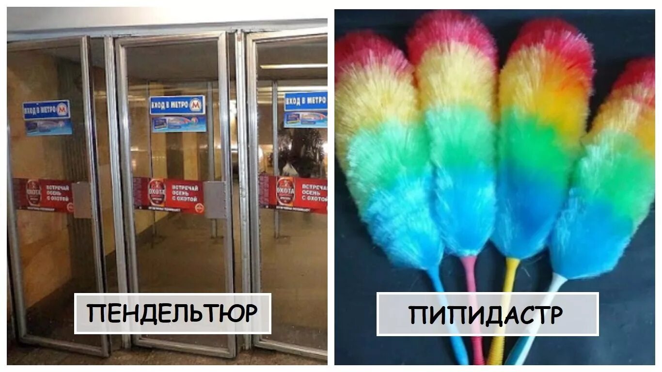 Пипидастр что это такое простыми словами фото 12 сложных названий простых вещей
