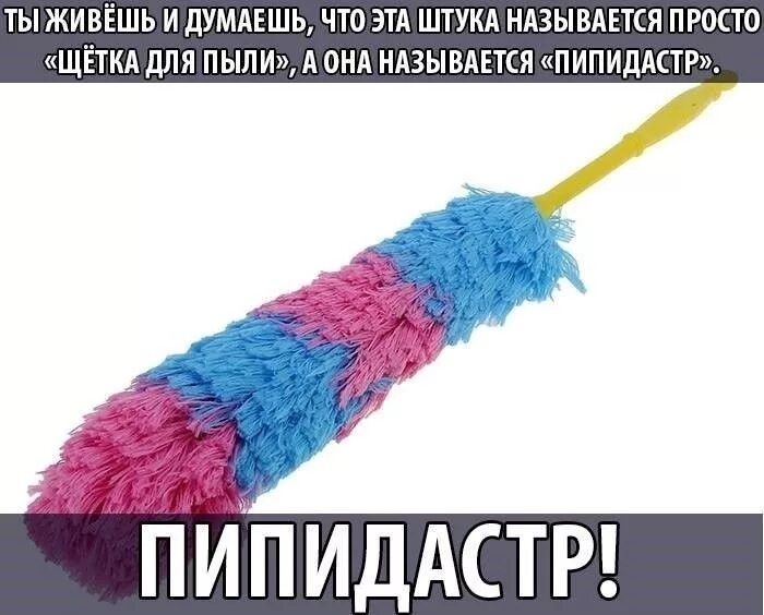 Пипидастр что это такое простыми словами фото Век учись