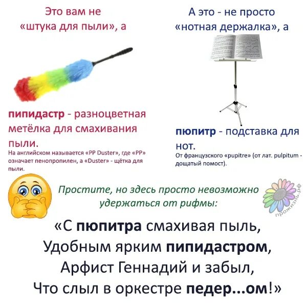 Пипидастр что это такое простыми словами фото Пепидастр: найдено 89 изображений