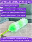 Пипидастр что это такое простыми словами фото Пипидастр что это такое простыми словами Shtampik.com