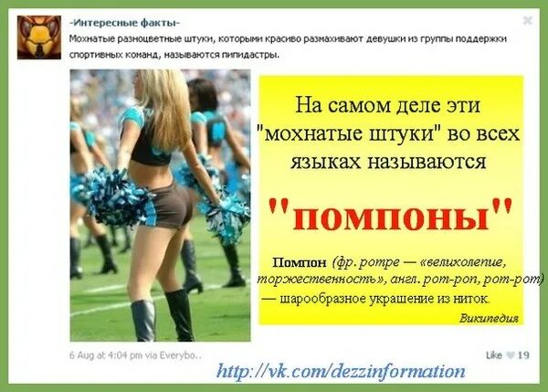 Пипидастр что это такое простыми словами фото Ответы Mail.ru: Узнала, что эти разноцветные, мохнатые штуки, которыми махают де