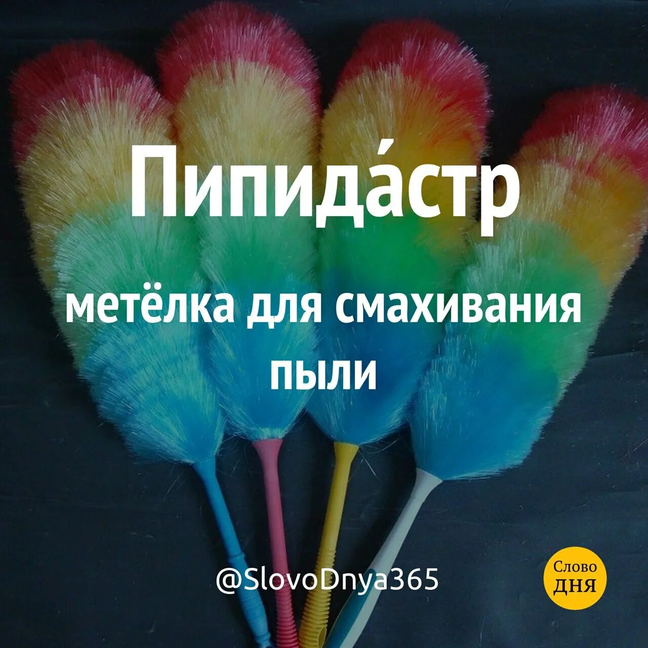 Пипидастр это что такое фото простыми Пипидастр что это такое простыми словами - CollectPhoto.ru