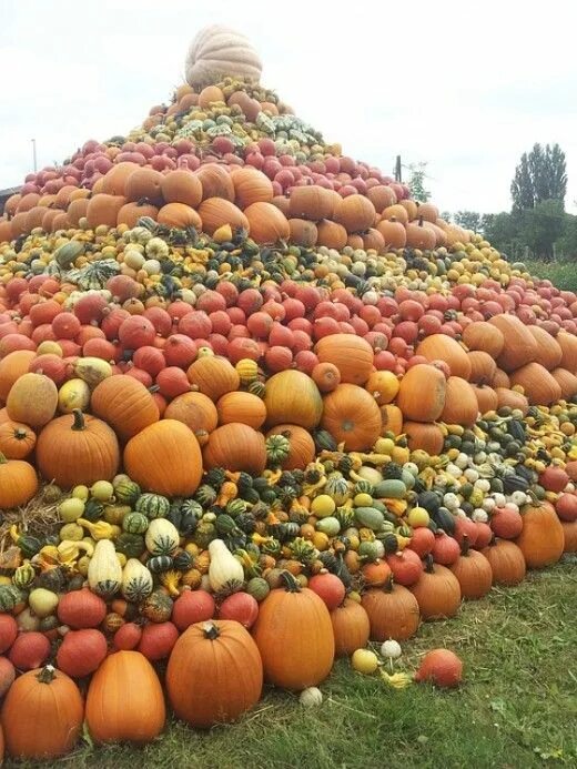 Пирамида из тыквы рязань фото A Samhain Harvest Spell: Bring Prosperity Into Your Life Pumpkin, Bountiful harv
