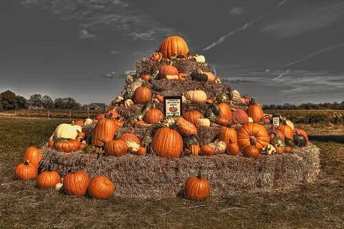 Пирамида из тыквы рязань фото Lilly's - Harvest Season by NYRBlue94 on Flickr. Harvest season, Harvest, Season