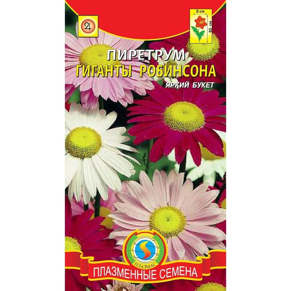 Пиретрум семена фото пиретрум ГИГАНТЫ РОБИНСОНА, Агроника