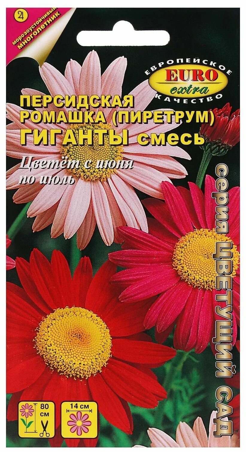 Пиретрум семена фото Пиретрум трубадур - купить по низкой цене на Яндекс Маркете