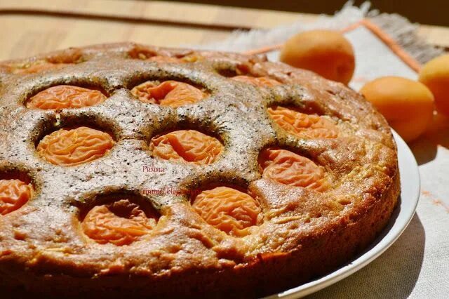 Пирог с абрикосом фото Комплимент от ШЕФА: Пирог с абрикосами