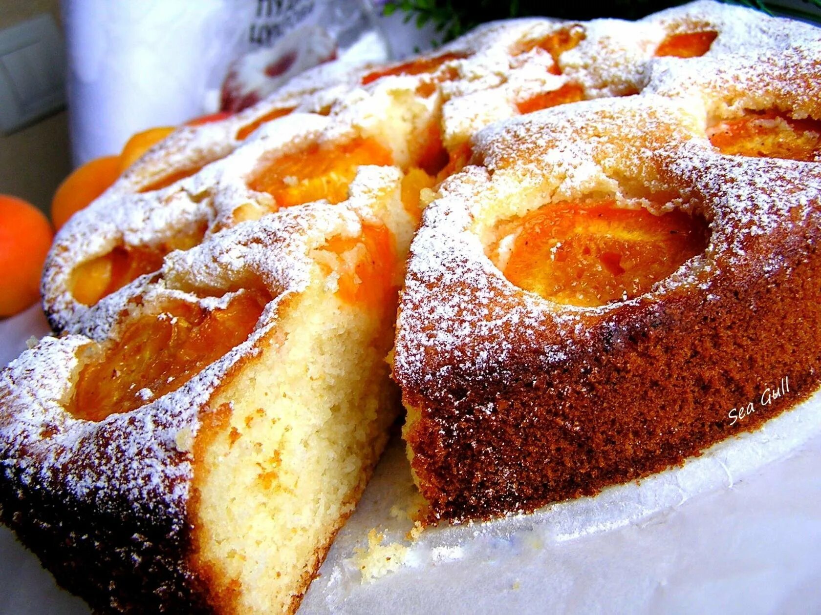 Пирог с абрикосом фото Манник с курагой - CoffeePapa.ru
