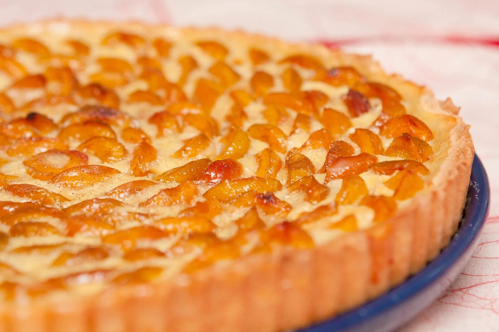 Пирог с мандаринами с фото La recette du jeudi : le gÃ ¢ teau lorrain aux mirabelles Le Rendez-vous des Art