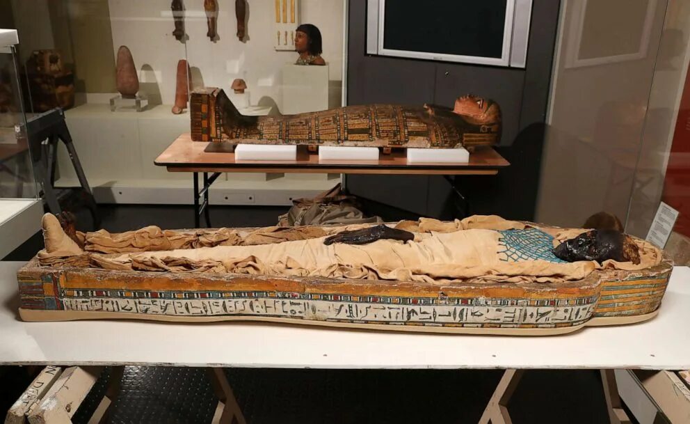 Пирогов фото мумии Takabuti mummy may have been killed in violent knife attack - ABC News